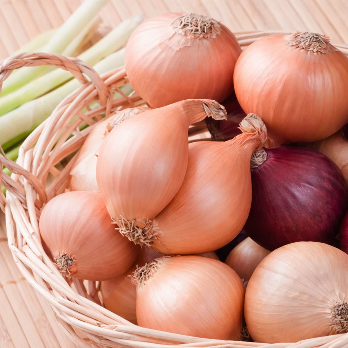 Comment conserver ses oignons le plus longtemps possible sans les abîmer