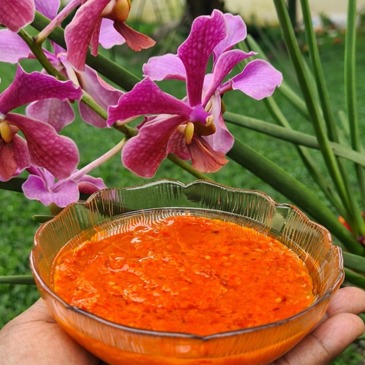 Délicieux piment rouge
