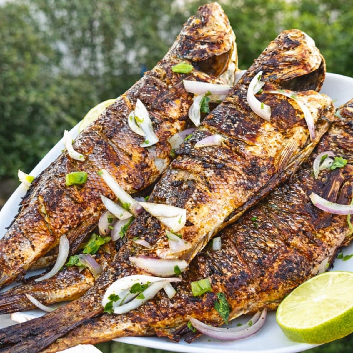 Délicieux poisson braisé au charbon