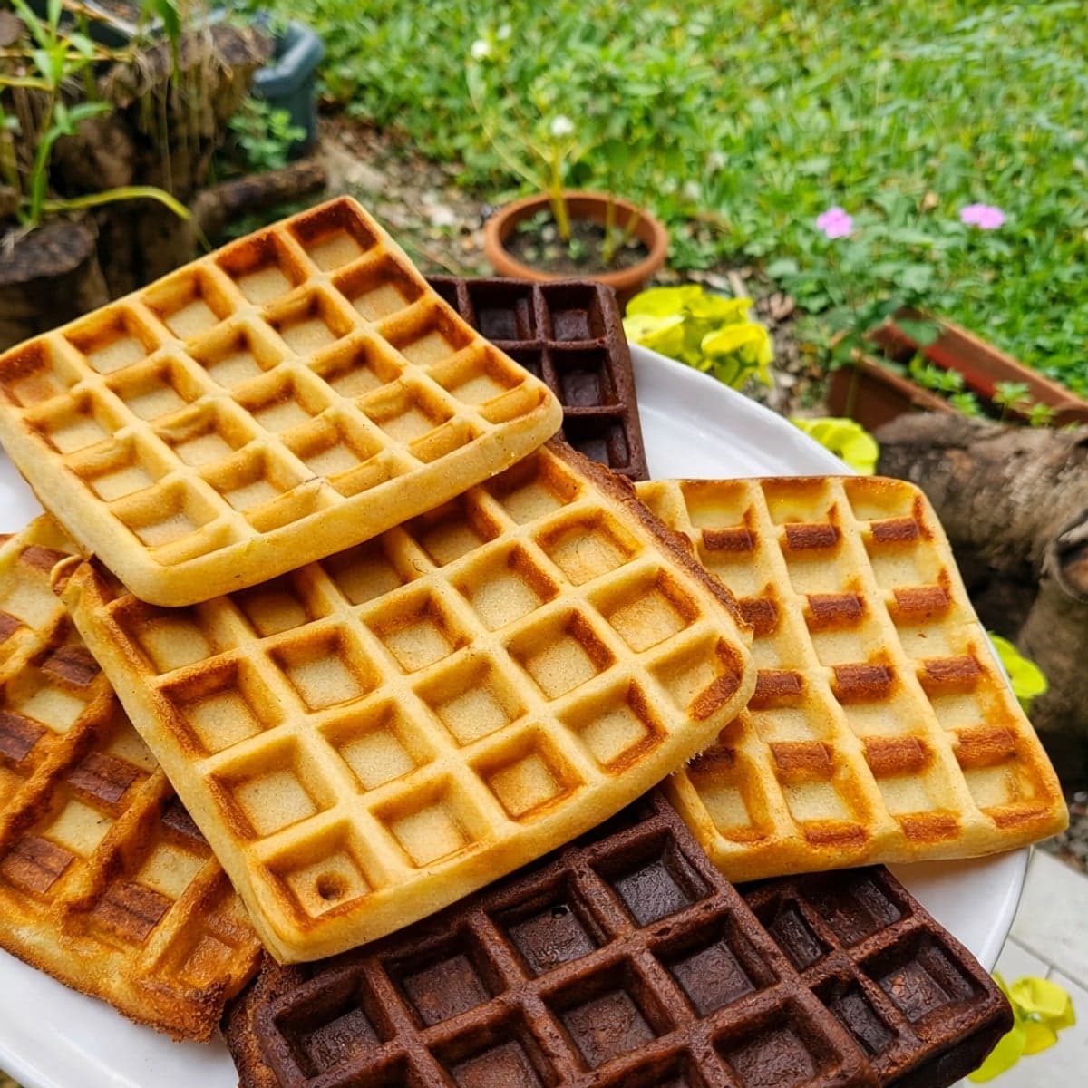 Gaufres à la vanille