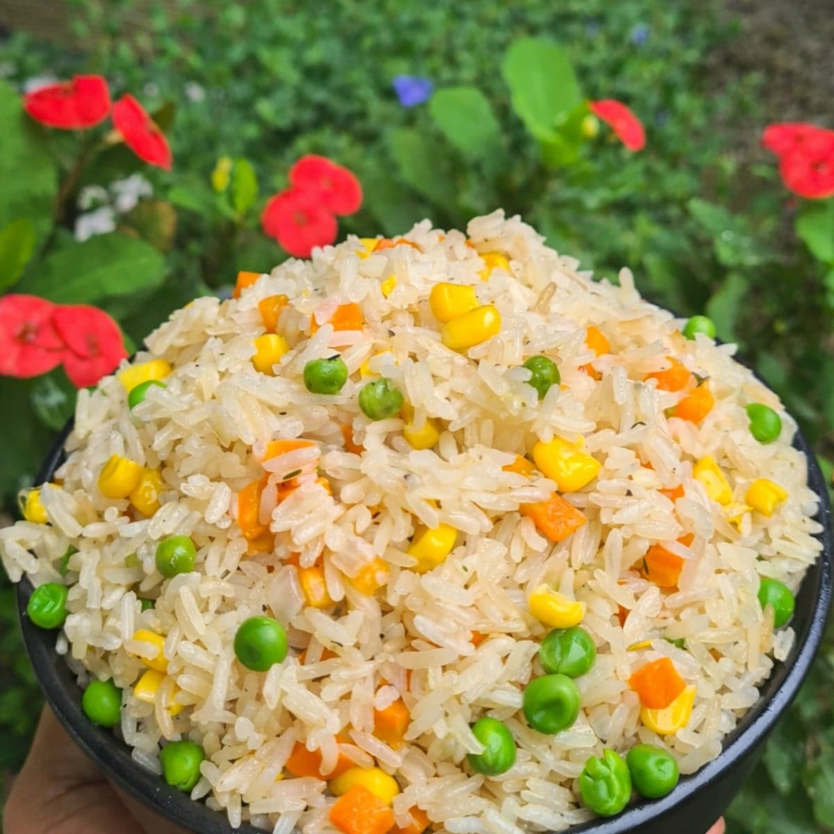 Riz légumes