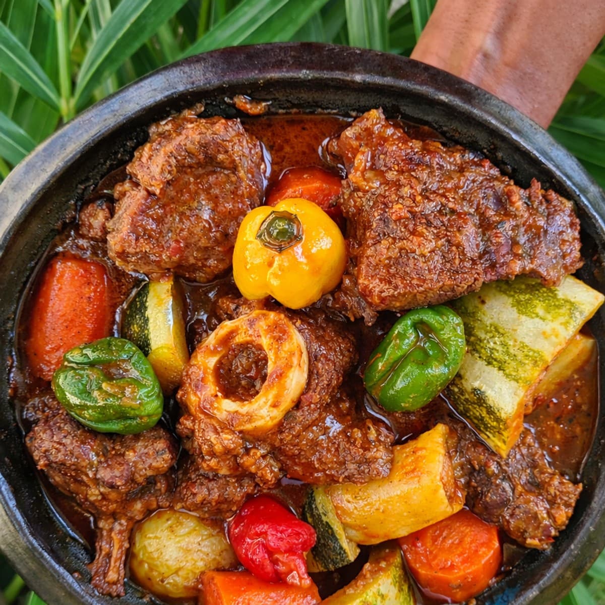 Boeuf à la tomate et légumes