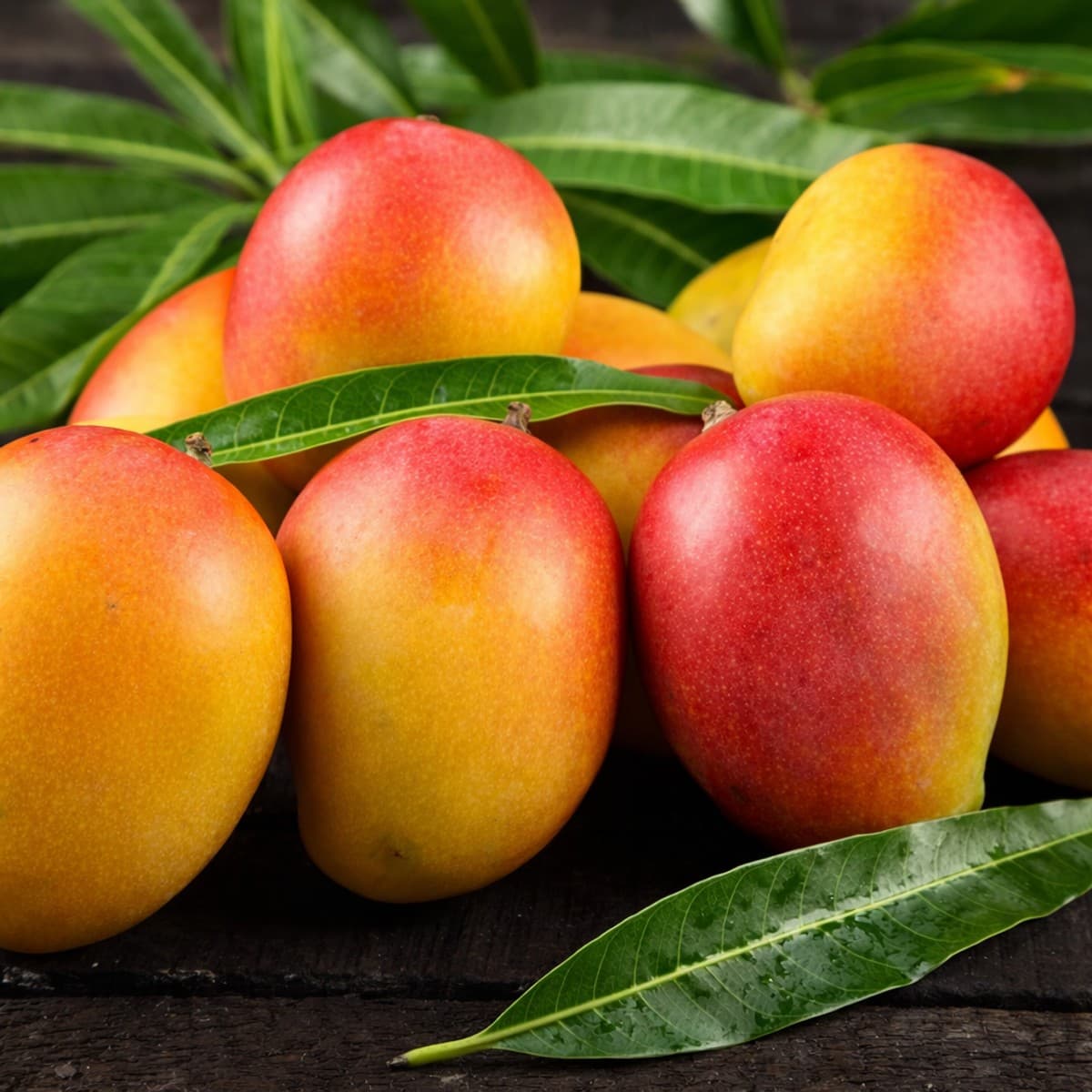 Comment choisir et conserver la mangue fraîche ?