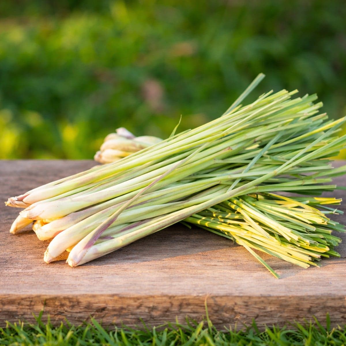 Différentes utilisations de la citronnelle en cuisine