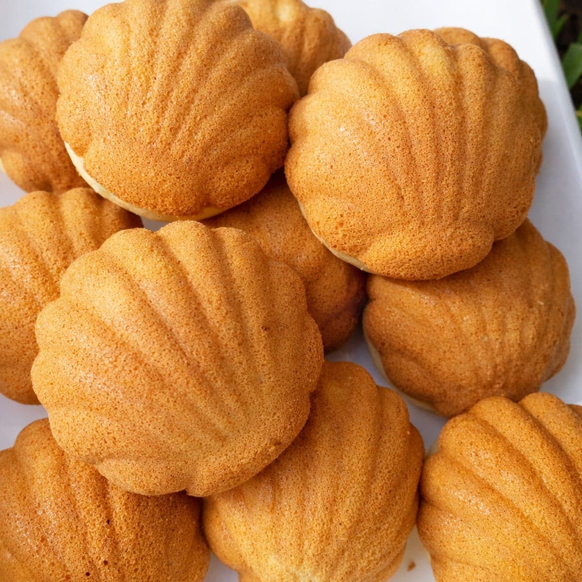 Mini madeleines