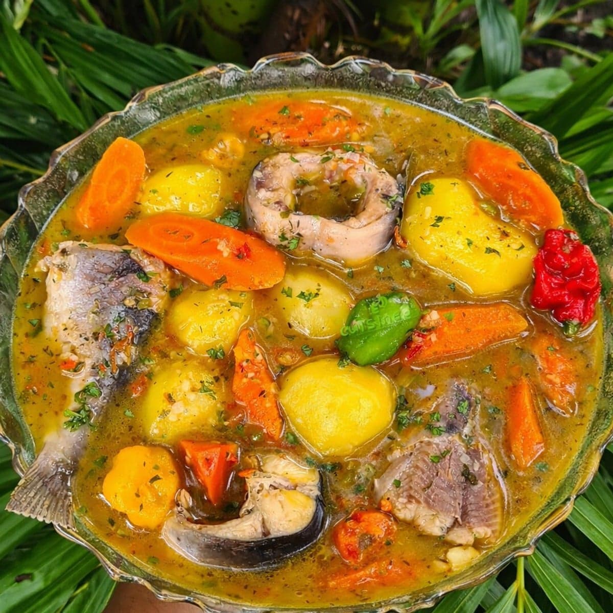 Soupe de mâchoiron pimentée aux pommes de terres