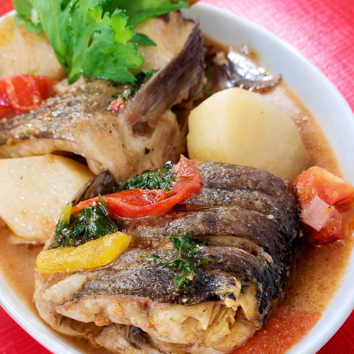 Bouillon de machoiron : recette sénégalaise épicée