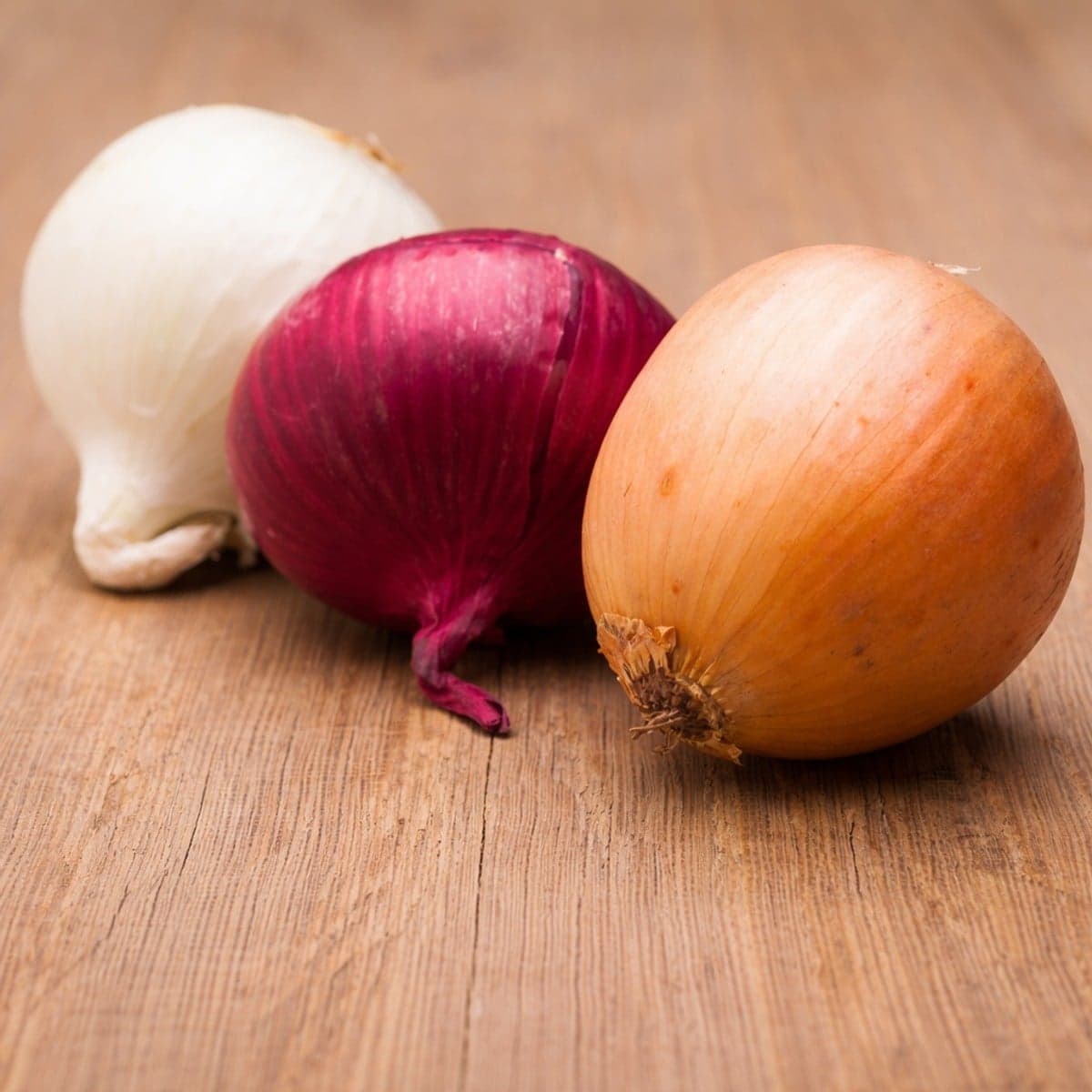 L’oignon : bienfaits, utilisation et idées recettes…