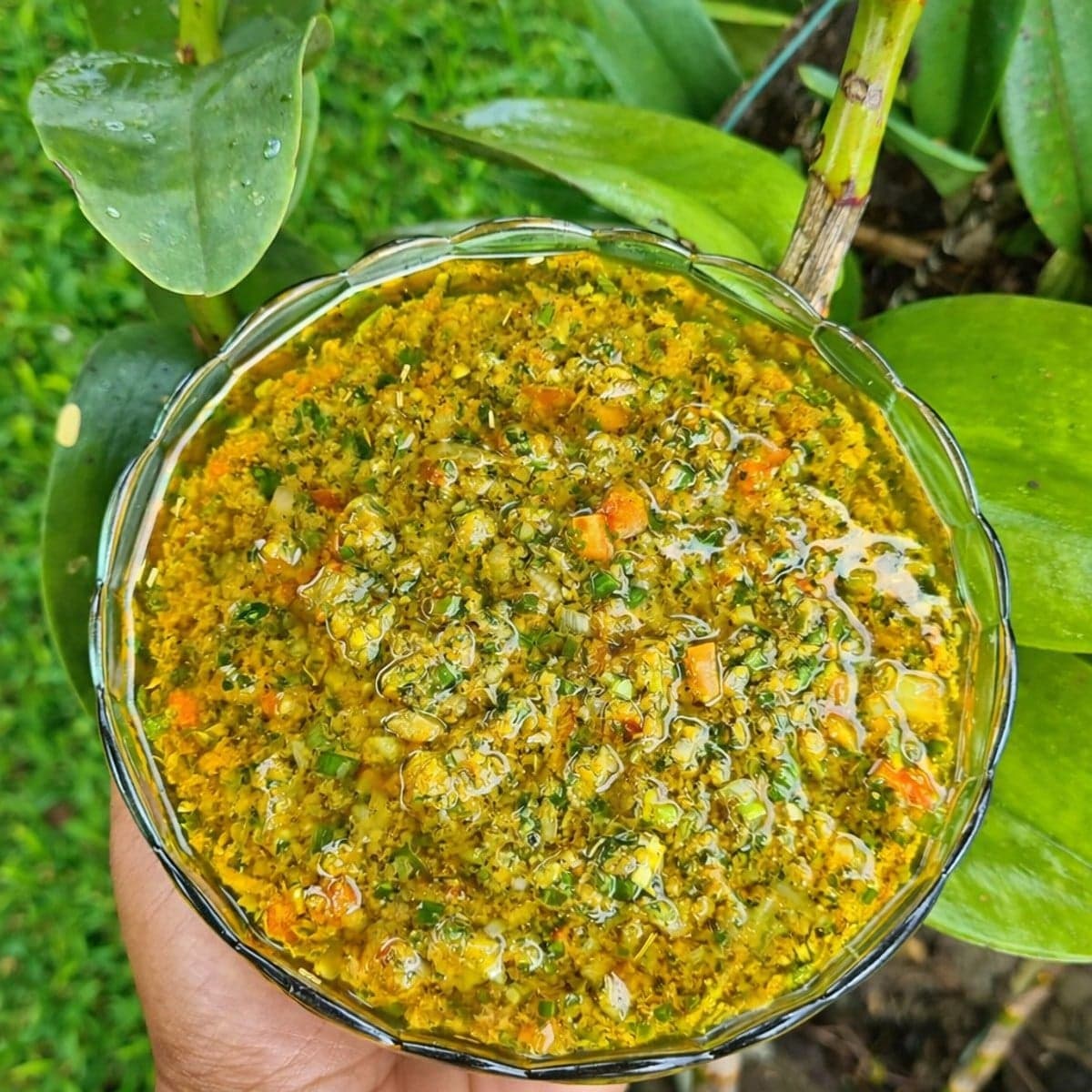 Marinade Parfaite : Sublime Toutes Vos Viandes avec Saveur et Tendreté
