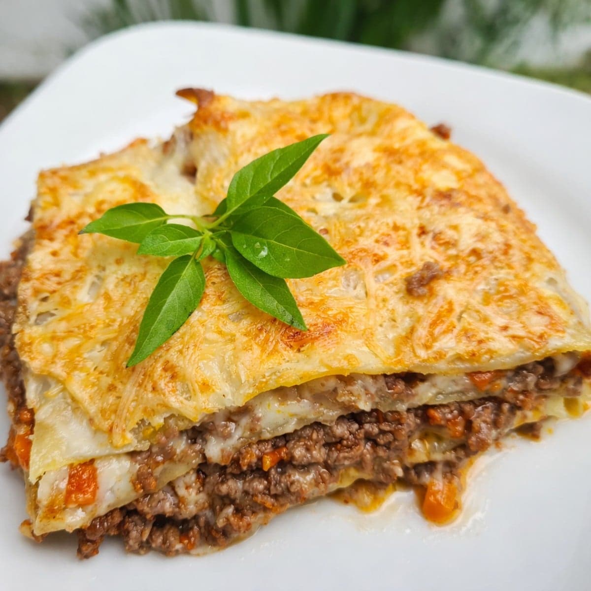 Lasagnes fait maison.