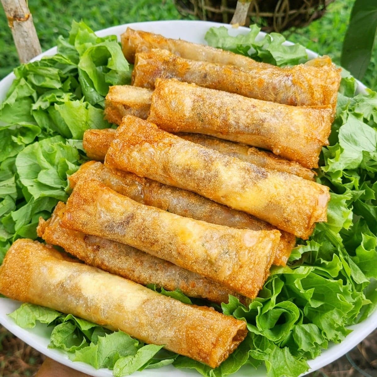 Croustillants de brick au fromage : recette facile