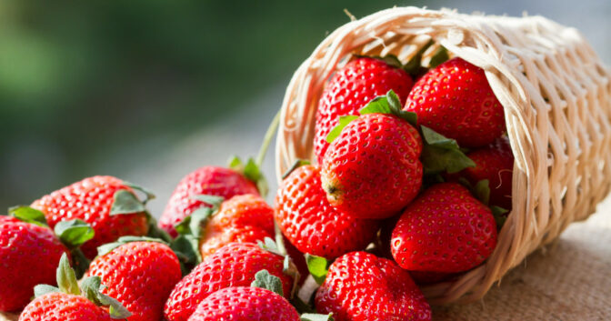 Différentes manières de conserver les fraises