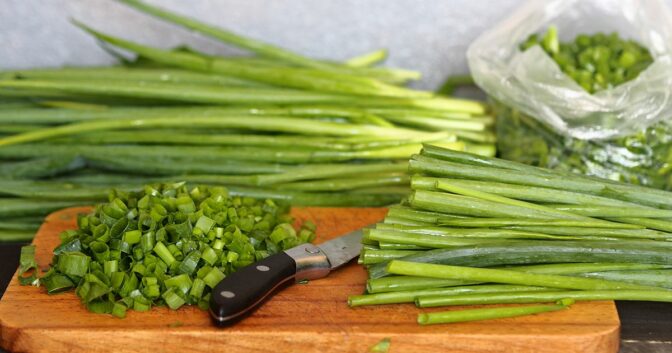 La meilleure façon de congeler les oignons verts.