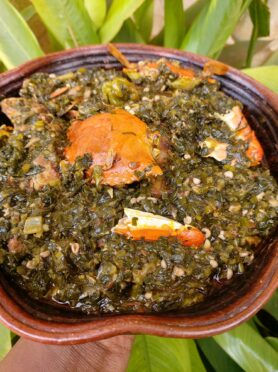 Sauce feuille mix: Epinard+ feuilles de patate.