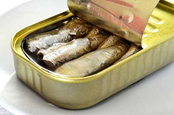 Comment conserver les sardines.