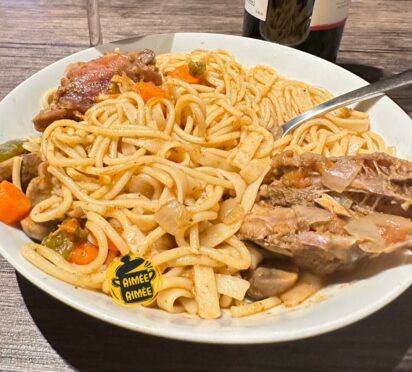 Spaghetti au gras vite fait